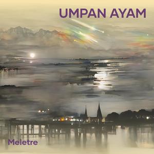 umpan ayam