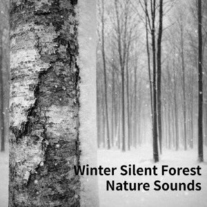 Nature Sounds for Deep Sleep Thirty Minutes