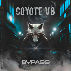 Bypass