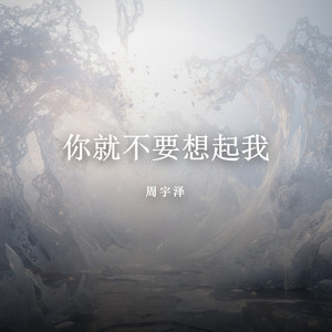 你就不要想起我