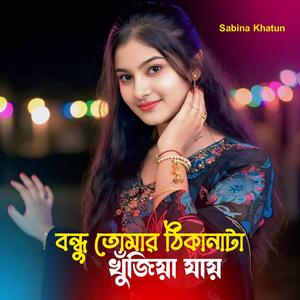Bhondu Tumar Thikanata Ghujia Jai