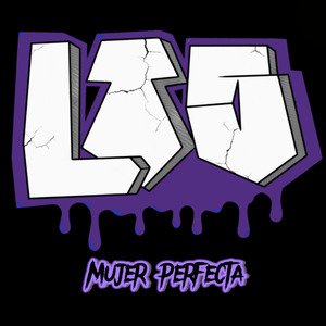 Mujer Perfecta
