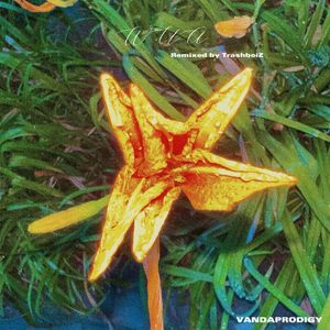 WUA（TrashboiZ remix）