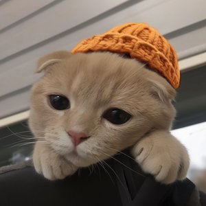 괜히 네가 더 선명해지는 밤 (You Feel Clearer Tonight for No Reason)