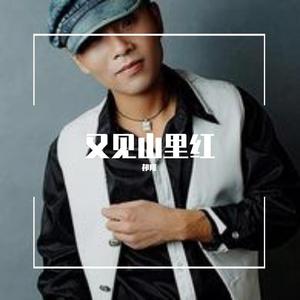 又见山里红