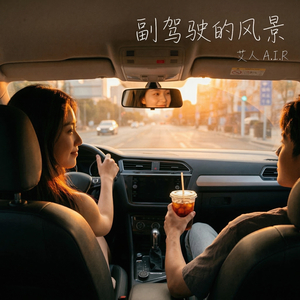 副驾驶的风景 (Remix)