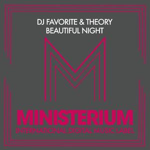 Beautiful Night (DJ Flight Remix)