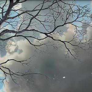 一起去看风和日丽