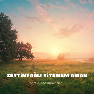 Zeytinyağlı Yiyemem Aman