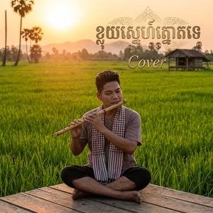 ខ្លុយស្នេហ៍ត្នោតទេ cover