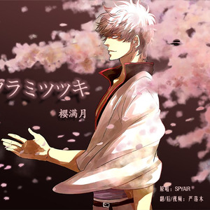 【翻/银魂】サクラミツツキ樱满月