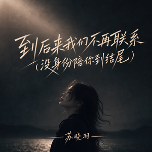 到后来我们不再联系(没身份陪你到结尾)