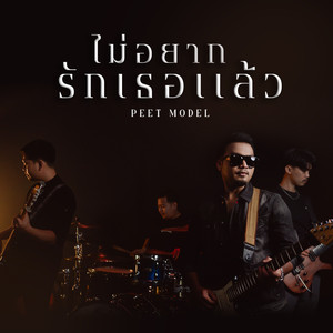 ไม่อยากรักเธอแล้ว