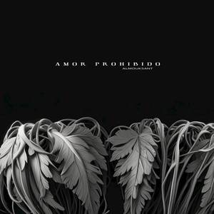 Amor Prohibido (Versión Acústica)