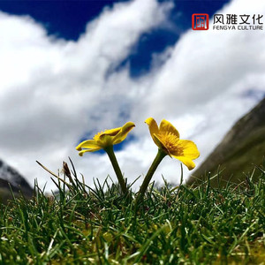 思念家乡的过往(钢琴)