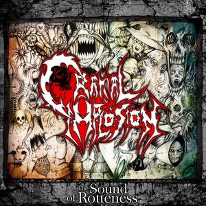 Drowned In Viceras