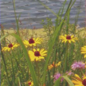 In The End (feat. Yuma SynthV)