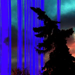 ...and then everyone just disappeared