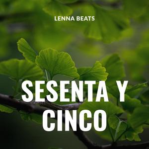 Sesenta y cinco