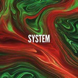 System