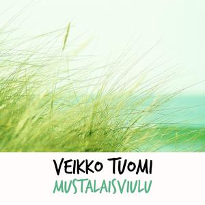 Mustalaisviulu
