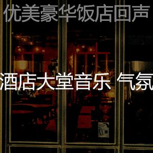 抚慰的酒店酒吧回忆