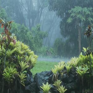 助于睡眠的雨声