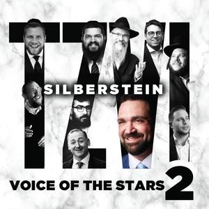 Shehashalom (feat. Benny Friedman)