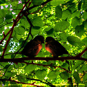 Навсегда будешь музой моей