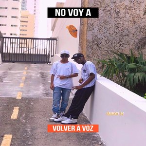 No Voy a Volver a Voz