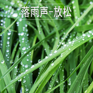 落雨声-放松,22部
