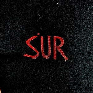VII. SUR