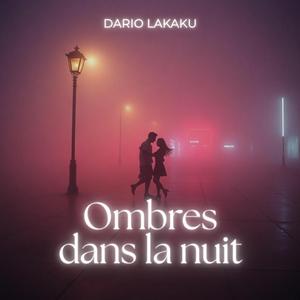 Ombres dans la nuit