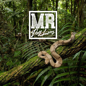 Kaboma snake (Instrumental version)