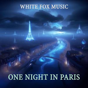 One night in Paris