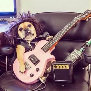 已是两条路上的人（翻自 赵雷）女版