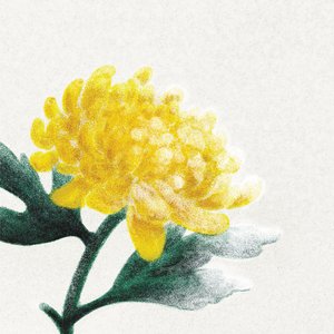 Philadelphia Orchestra Is Playing Ravel