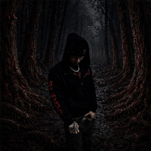 [Trap]加木TRi X SASIOVERLXRD Type beat - 玉蝉