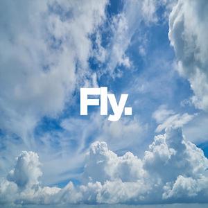 Fly