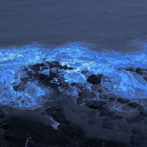 独白（prod undislove）