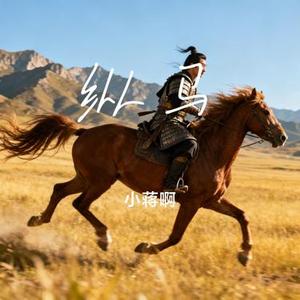 纵马 (Cover 王一佳)