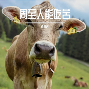 周至人就好这一口