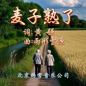 麦子熟了-