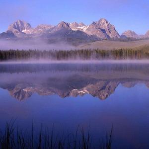 仅仅是你的背影就让我彻夜难眠