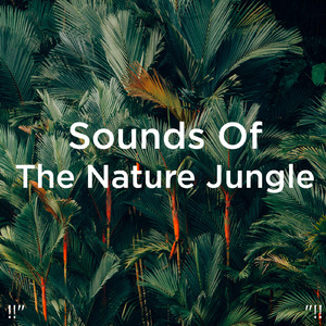 편안한 물 소리