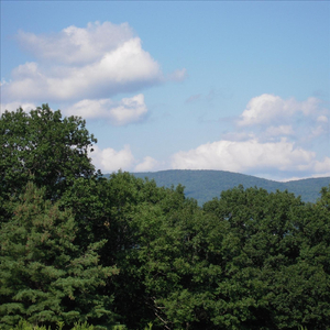 Klee's Machine Spatial Explorations (Live)