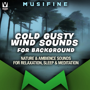 Cold Gusty Wind Sounds for Background (Nature & Ambience Sounds for Relaxation, Sleep & Meditation)