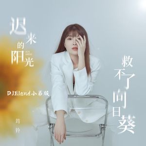 筠铃 迟来的阳光救不了向日葵 (DJEland 小弟版)