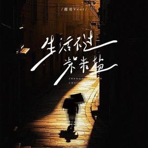 生活不过柴米盐