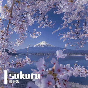 sakura